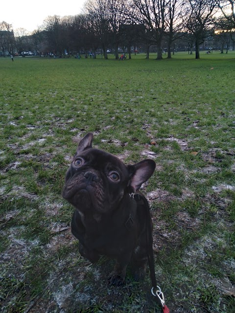 East Meadows Play Park