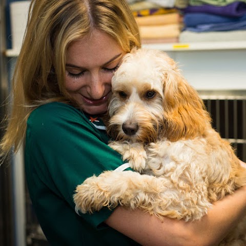 Coastway Vets, Shoreham