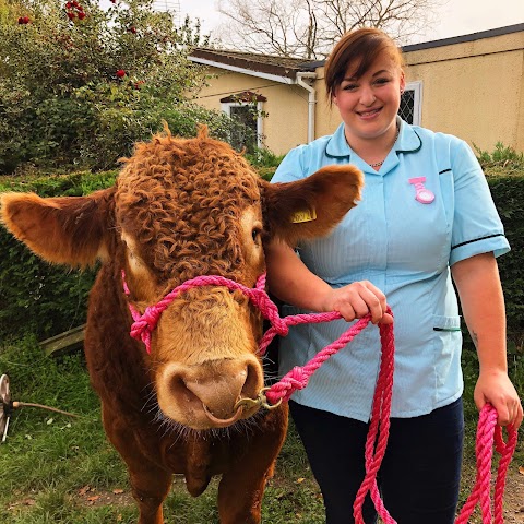 Powderham Veterinary Group