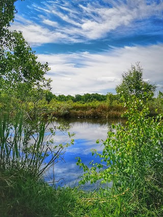 Ballynafagh Lake