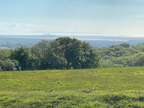 National Trust - Cadbury Camp