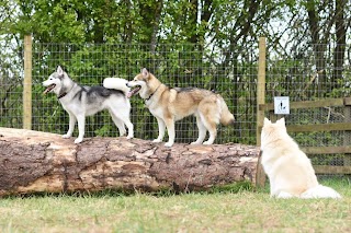 Bowcliffe Dog Enrichment Park