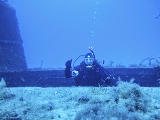 Del-Mar Dive Club 312