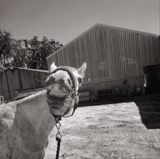 Cath's tack shack