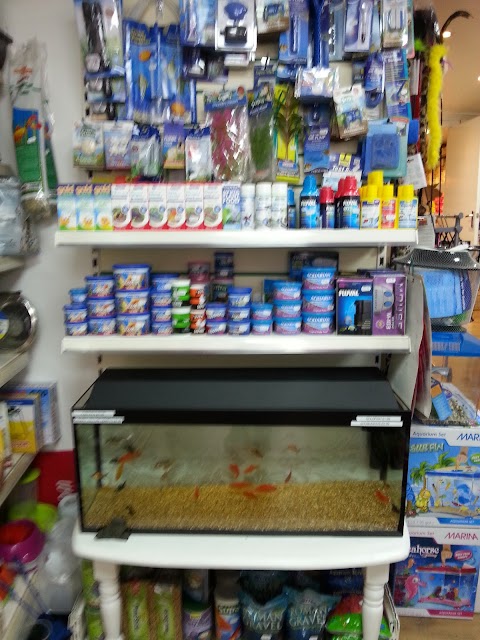 Animal Magic Pet Supplies