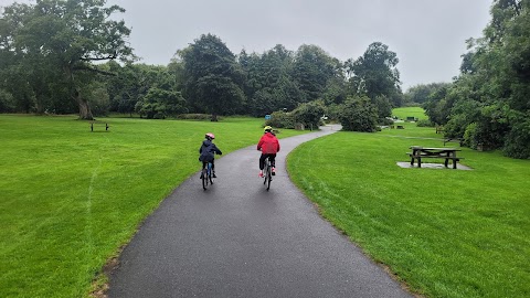 Castlewellan Mountain Bike Trails