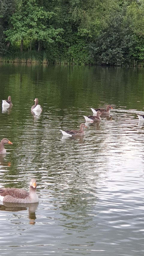 Lakeside Country Park