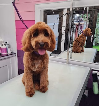 Furry Charm Dog Groomer