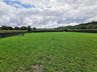 Mutts Meadow Secure Dog Walking Field