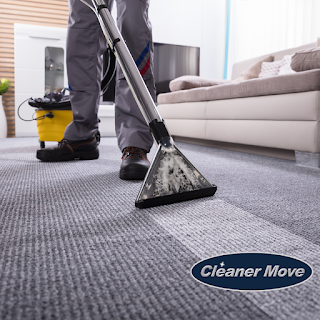 Cleaner Move Woking Carpet Cleaning