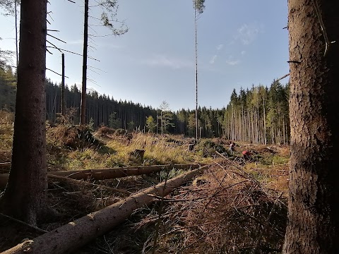 Готельно-відпочинковий комплекс Княжий Двір