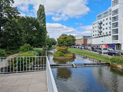 Jellicoe Water Gardens - Flower Garden