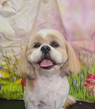 Razzle Dazzle Dog Grooming