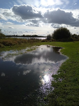 Summer leys