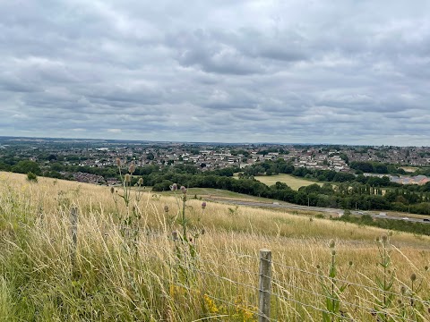 Gedling Country Park