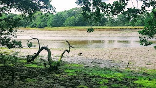 Burridge Recreation Ground