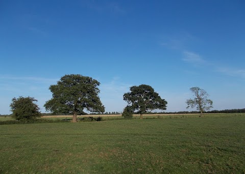 Pines Farm Cottages