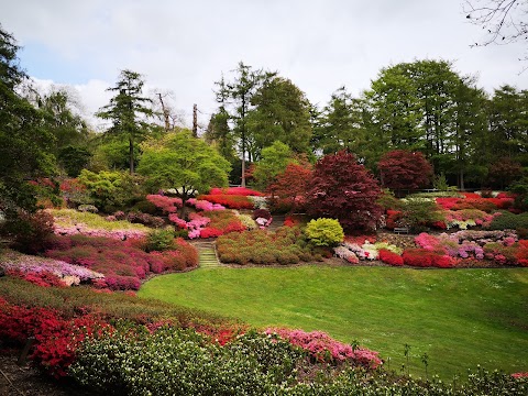 The Valley Gardens