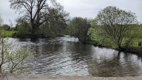 Harnham Water Meadows