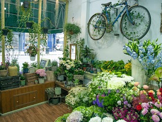 Bloomside Florist Ltd