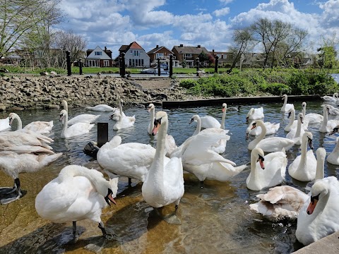 Truss's Island