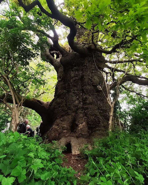 Lullingstone Country Park