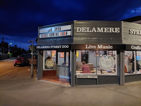 The Delamere St Dog