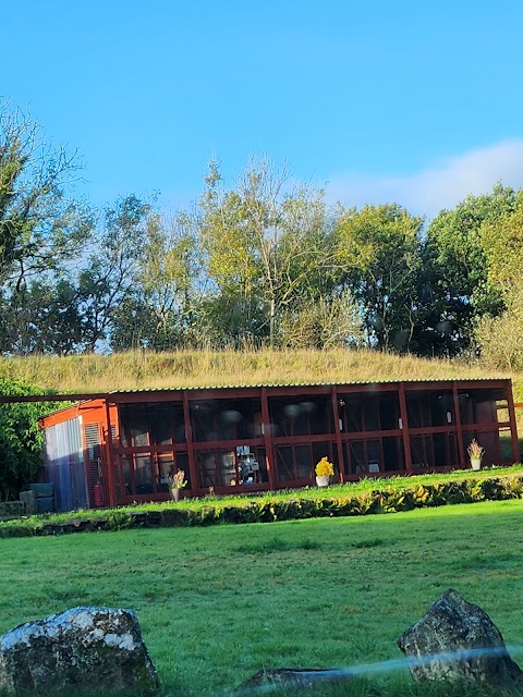 Longford Chase Boarding Kennels & Cattery