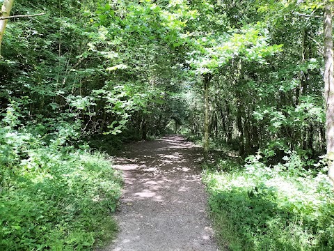 Sirhowy Valley Country Park.