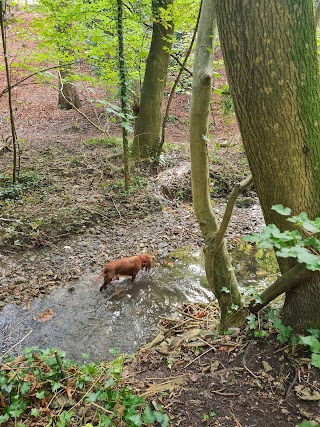 Badock's Wood Northern Gateway, Entrance