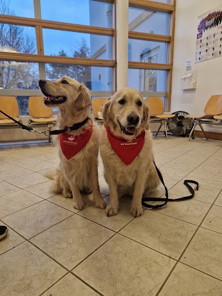 The Hospital for Small Animals