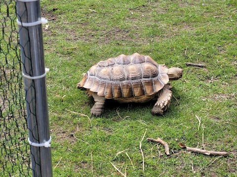 Heaton Park Animal Centre