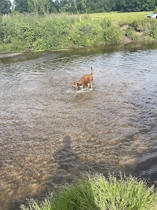 Styal Park Beach