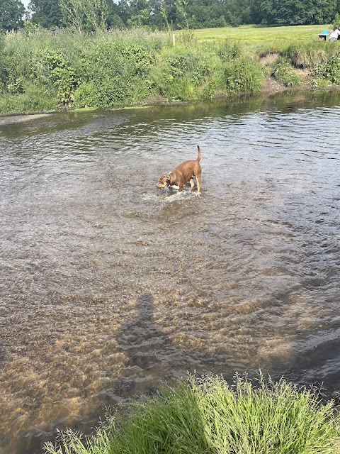 Styal Park Beach