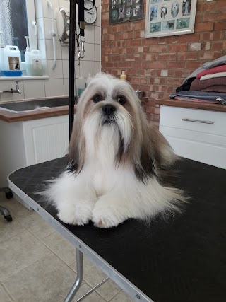 Hair of the Dog Grooming Parlour