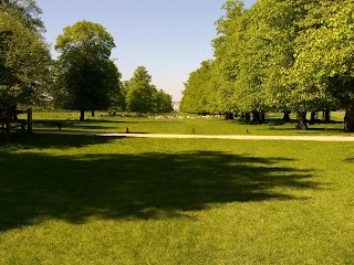 Hampton Court Park (Home Park)