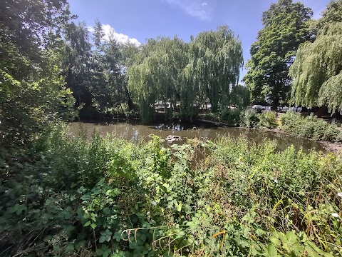 Ruislip Duck Pond