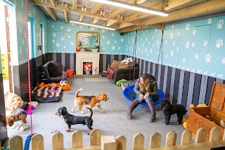 Sherston Doggy Daycare LTD