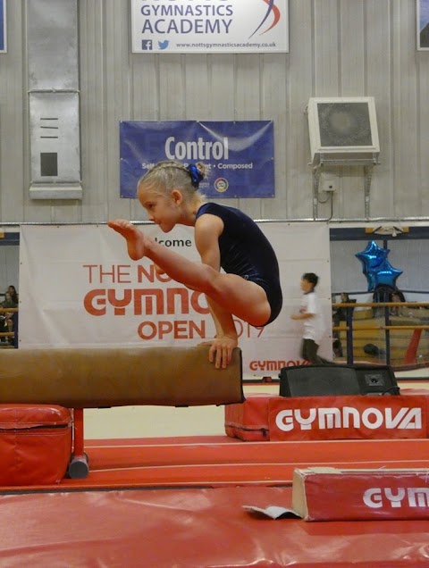 Sheffield Gymnastics Academy