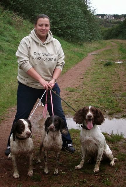 Happy Hounds Dog Walking Services