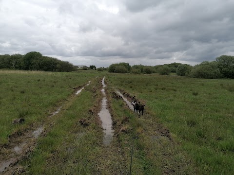 Peel Hall Farm