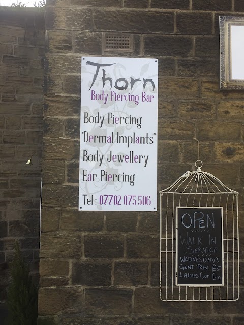 Thorn body piercing bar