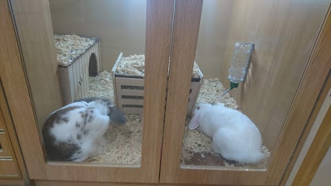 Pets at Home Bradford Idle