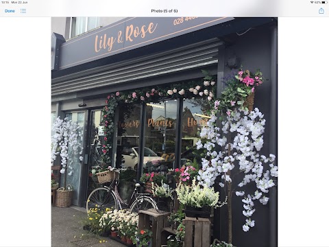 Lily & Rose Florist