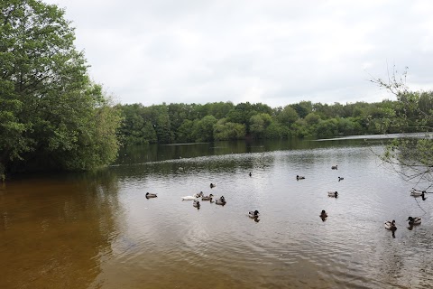 Brereton Heath Local Nature Reserve