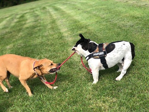 Barrs Barkers Professional Dog Walking