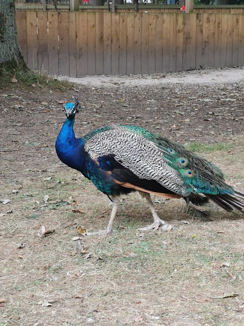 Bridlington Animal Park