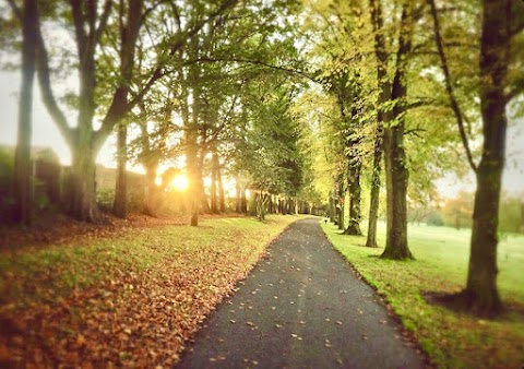 Walsall Arboretum