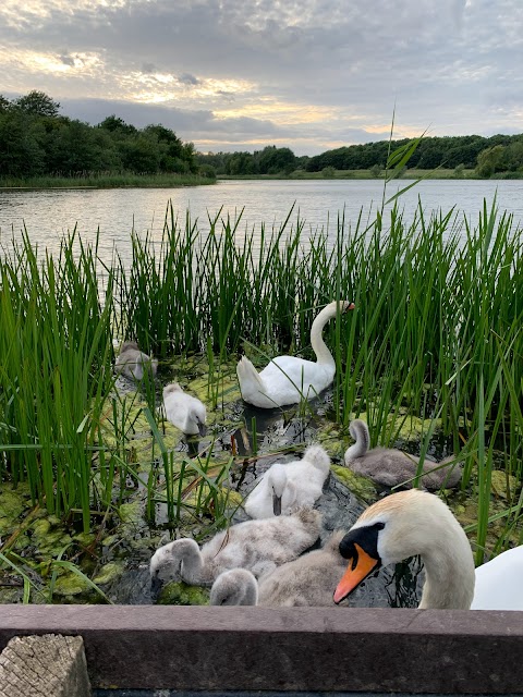 Cleethorpes Country Park