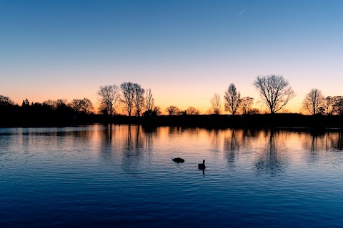 Coate Water Country Park